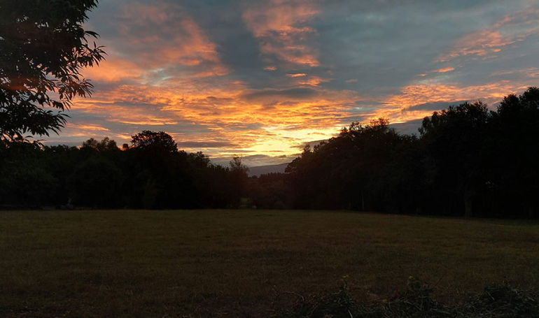 Camino Francés: Sarria - Santiago