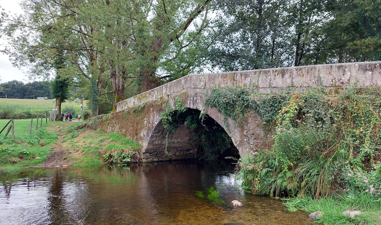 Camino Francés: Sarria - Santiago