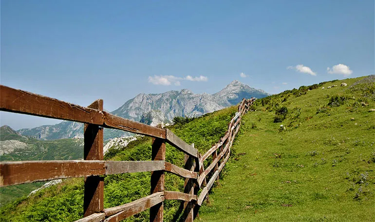 Picos de Europa y ruta del Cares: Senderismo por Asturias, Covadonga y Cangas de Onís