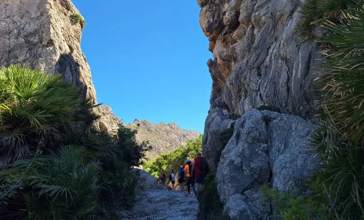 Excursión hacia Cala Boquer en Pollença