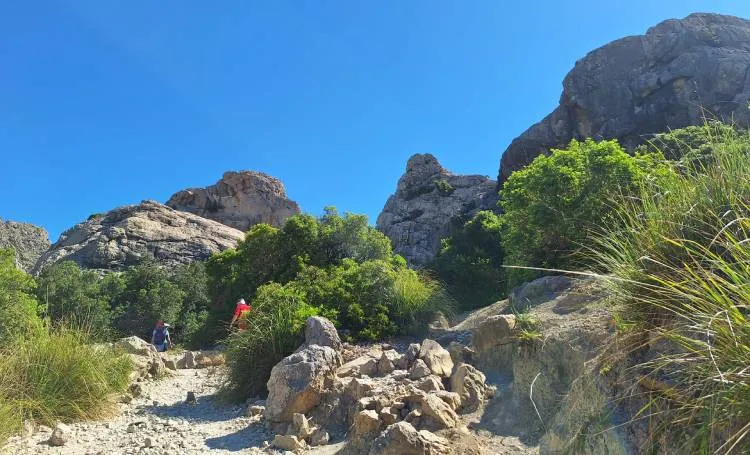 Grupo caminando hacia Cala Boquer