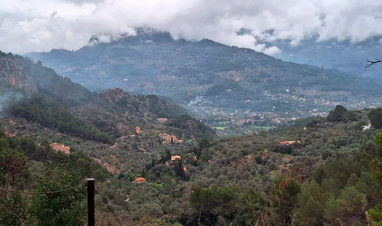 Grupo disfrutando de la excursiÃ³n.