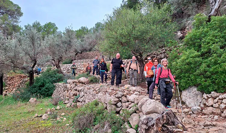 Camino rural en la ruta hacia SÃ³ller.