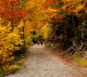 BOSQUES DE ARAGÓN EN OTOÑO (ORDESA, MONTE PERDIDO)