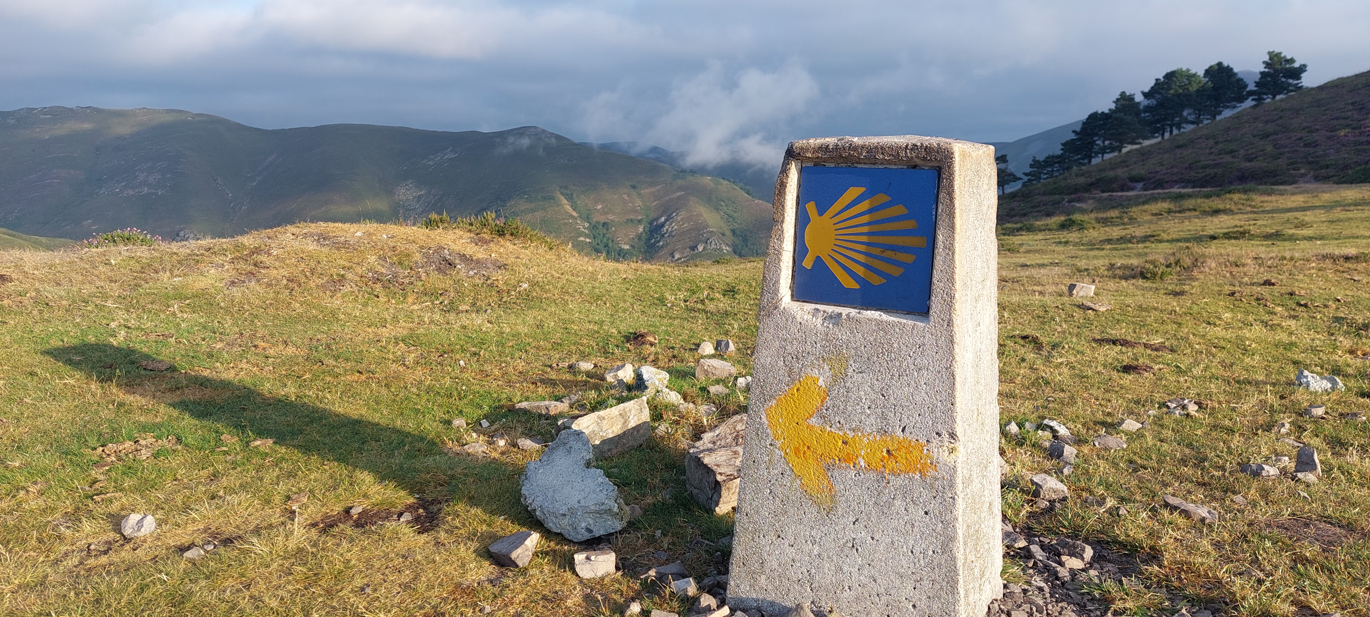 CAMINO PRIMITIVO (FONSAGRADA - SANTIAGO)